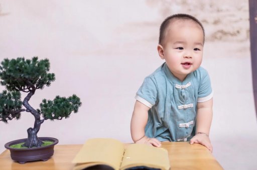 怒江可爱的企鹅宝宝